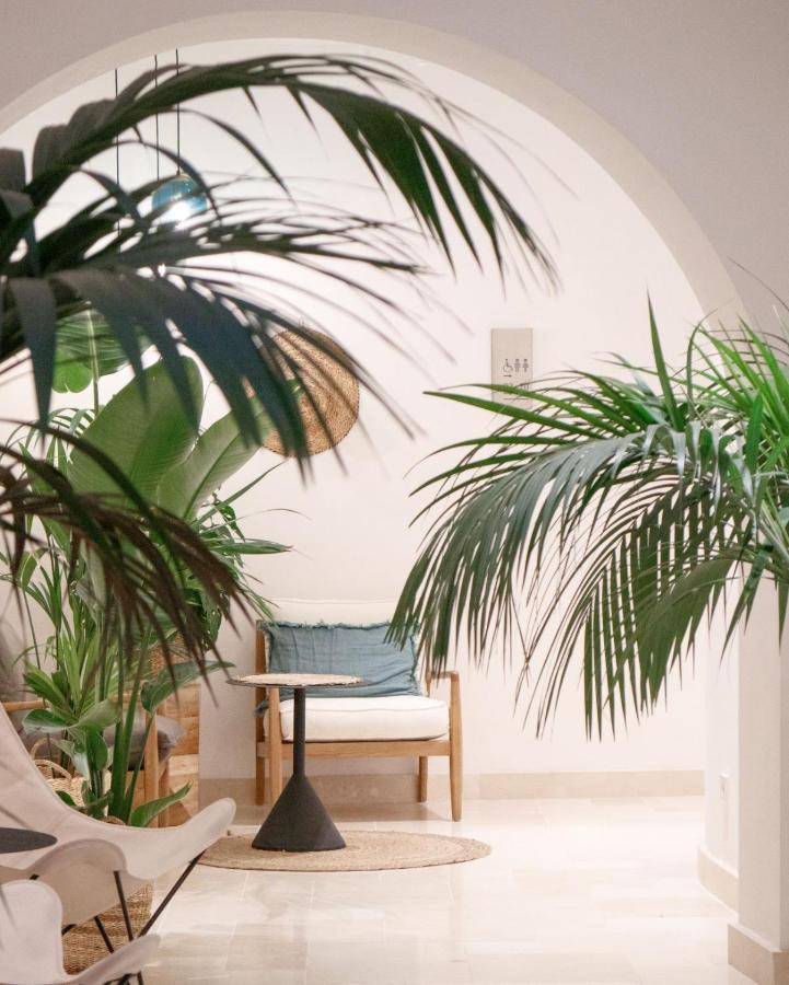 Casa Du Soleil Hostal Boutique مدريد المظهر الخارجي الصورة